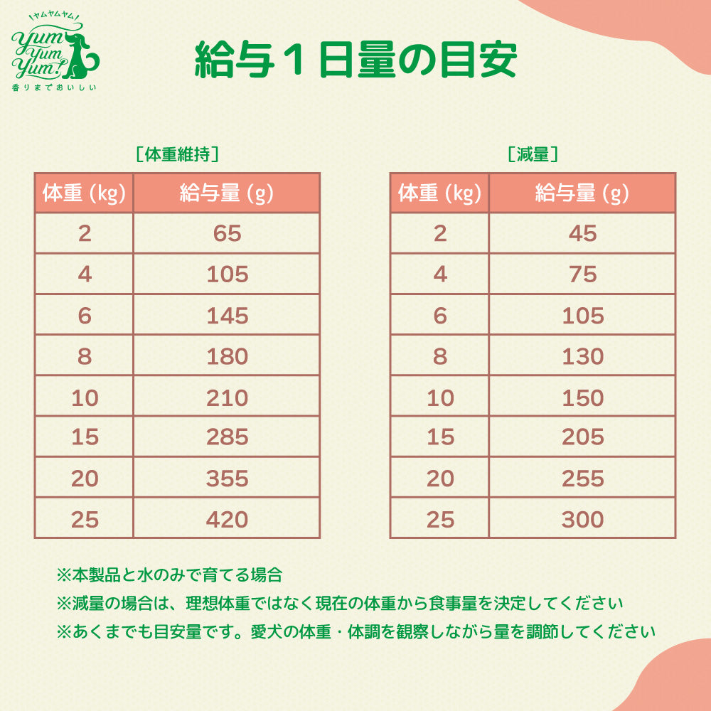 ヤムヤムヤム シニア&ライト チキン やわらかドライタイプ 800g(80g×10袋) 犬 フード ドッグフード 小粒 鶏肉 低脂肪 高齢期 体重管理 国産 yum yum yum!
