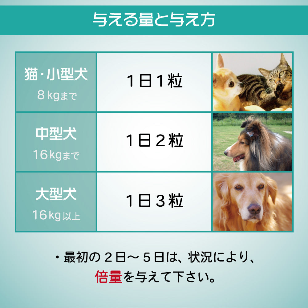 プロバイオデンタル 粒タイプ 60粒 犬 猫 乳酸菌 サプリメント 犬用 猫用 デンタルケア 腸内フローラ 改善 口臭 対策 善玉菌 生菌