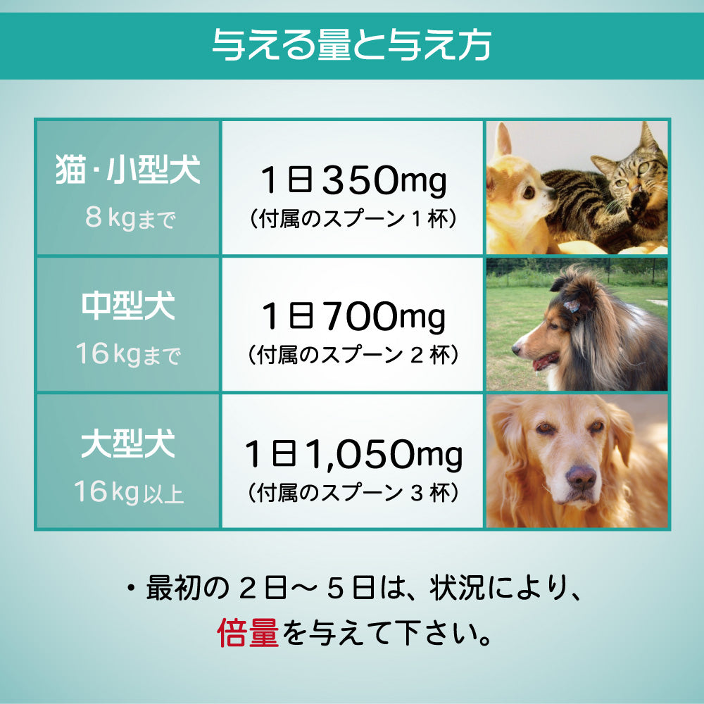 プロバイオデンタル パウダータイプ 14g 犬 猫 乳酸菌 サプリメント 犬用 猫用 デンタルケア 腸内フローラ 改善 口臭 対策 善玉菌 生菌