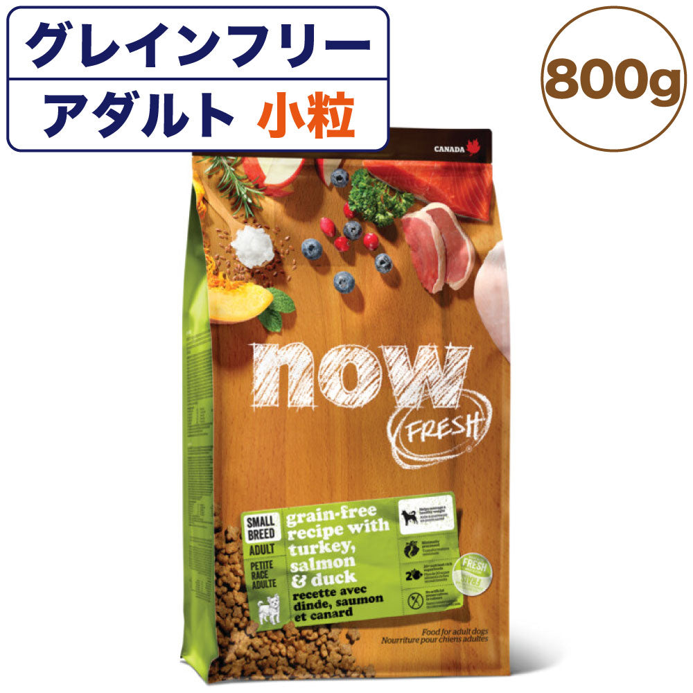 ナウフレッシュ グレインフリー スモールブリード アダルト 800g 犬 ドッグフード 犬用フード ドライフード ドライ 穀物不使用 成犬用 小粒 NOW FRESH