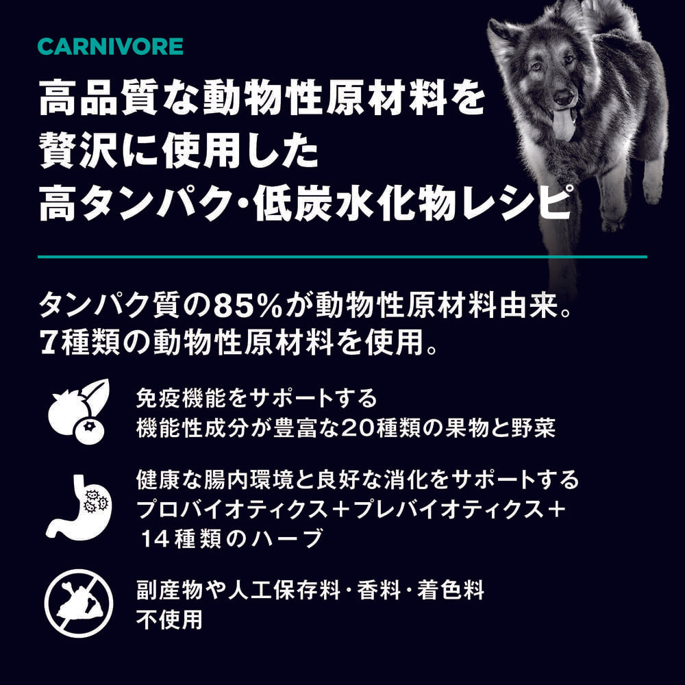 GO! ゴー カーニボア アダルト グレインフリー チキン、ターキー+ダックレシピ 800g 犬 犬用フード ドッグフード ドライ 高タンパク 低炭水化物 無添加