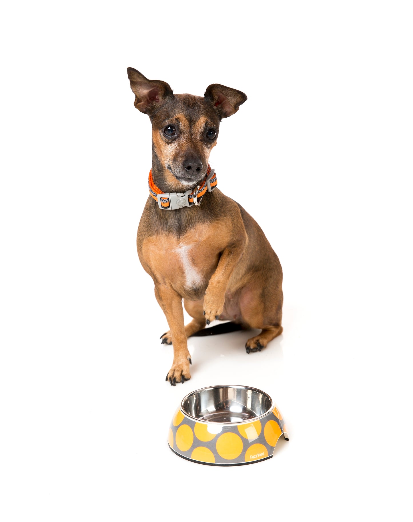 ファズヤード 犬 猫 食器 FuzzYard バブルオレンジ S ペット おしゃれ かわいい フードボウル ウォーターボウル えさ入れ 超小型犬 小型犬 水玉 滑り止め