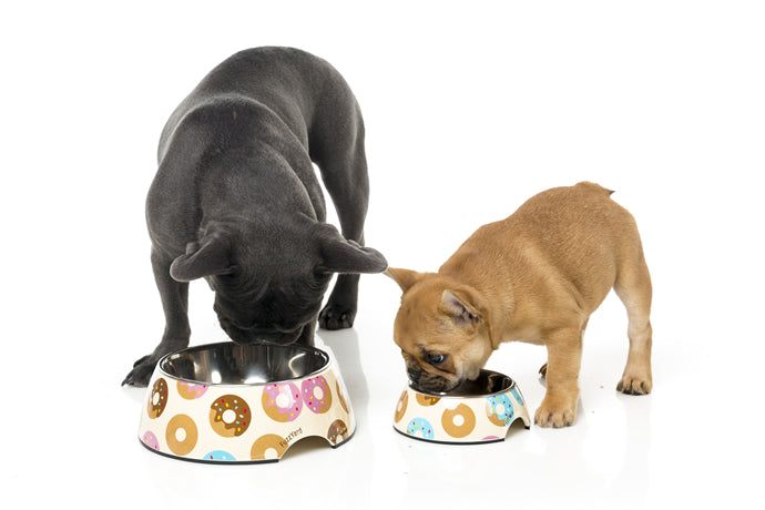 ファズヤード 犬 猫 食器 FuzzYard ゴーナッツ S ペット おしゃれ かわいい フードボウル ウォーターボウル えさ入れ 超小型犬 小型犬 柄 滑り止め