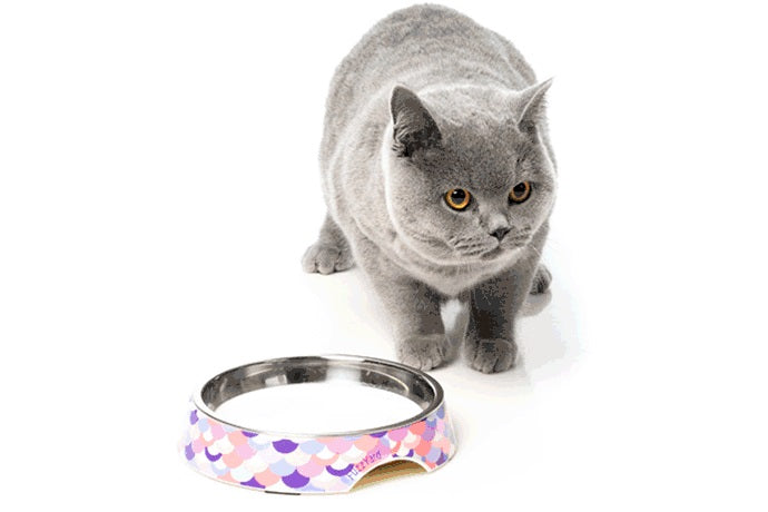 ファズヤード 猫 犬 食器 FuzzYard アトランティカ ねこ ペット 小型犬 おしゃれ かわいい 浅型 フードボウル ウォーターボウル ネコ えさ入れ 柄 滑り止め