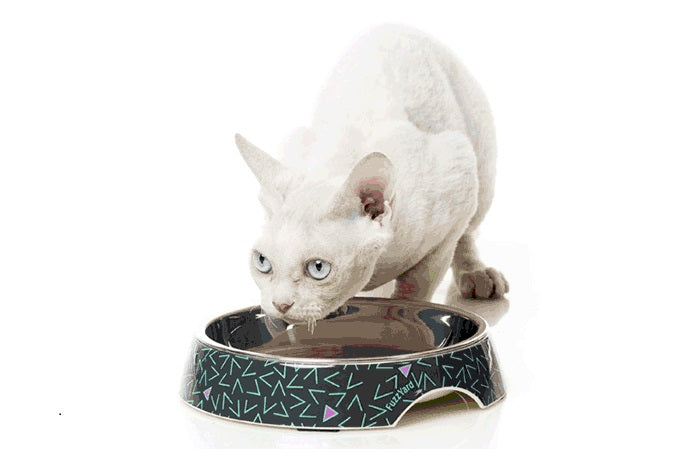 ファズヤード 猫 犬 食器 FuzzYard ヴォルテージ ねこ ペット 小型犬 おしゃれ かわいい 浅型 フードボウル ウォーターボウル ネコ えさ入れ 柄 滑り止め
