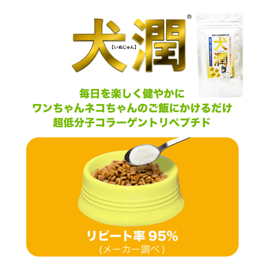 犬潤 65g 犬 猫 ペット サプリメント コラーゲン ペプチド 天然 低分子 皮膚 被毛 関節 軟骨 無香料 保存料不使用 国産 いぬじゅん