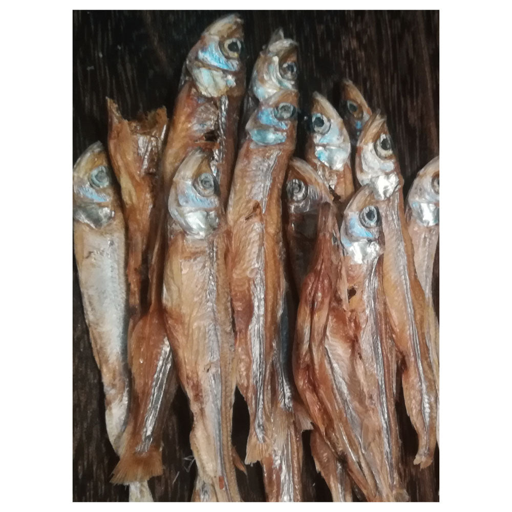 こまちな 八郎潟物語 秋田のわかさぎ 30g 犬 猫 おやつ 魚 国産 無添加 犬用 猫用 オヤツ ごほうび さかな 秋田県産 こまちな komachi-na-