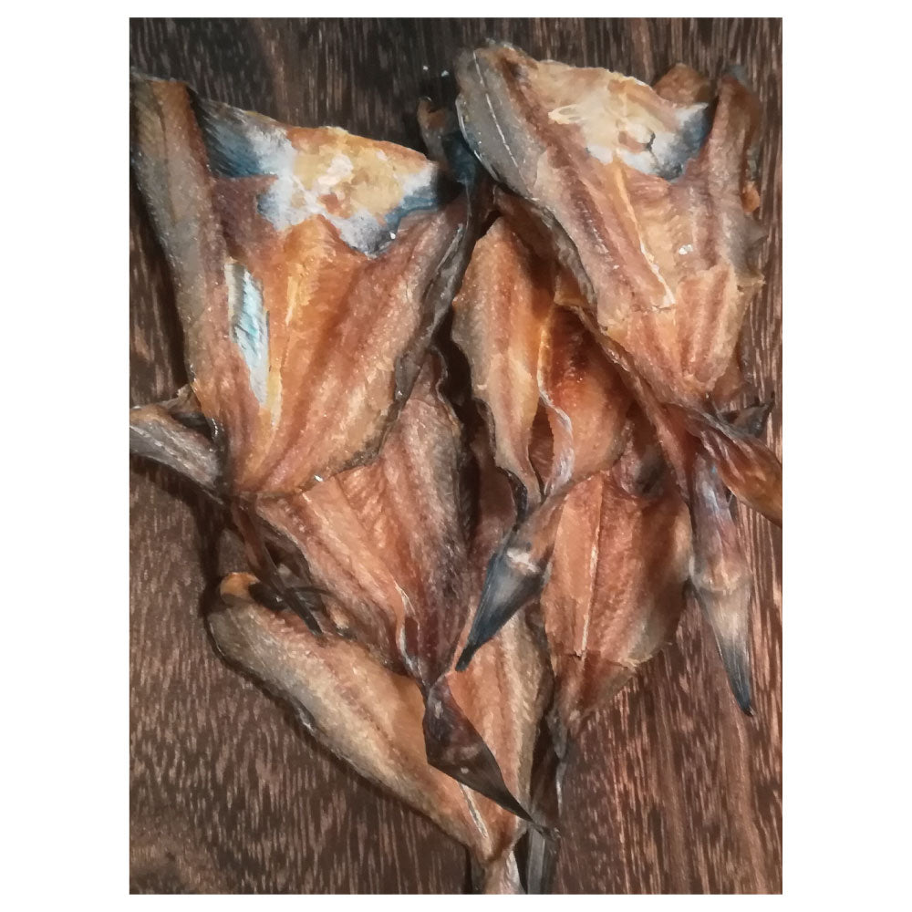 こまちな 神の魚伝説 秋田の鰰 ハタハタ 25g 犬 猫 おやつ 魚 国産 無添加 犬用 猫用 オヤツ ごほうび さかな 秋田県産 こまちな komachi-na-