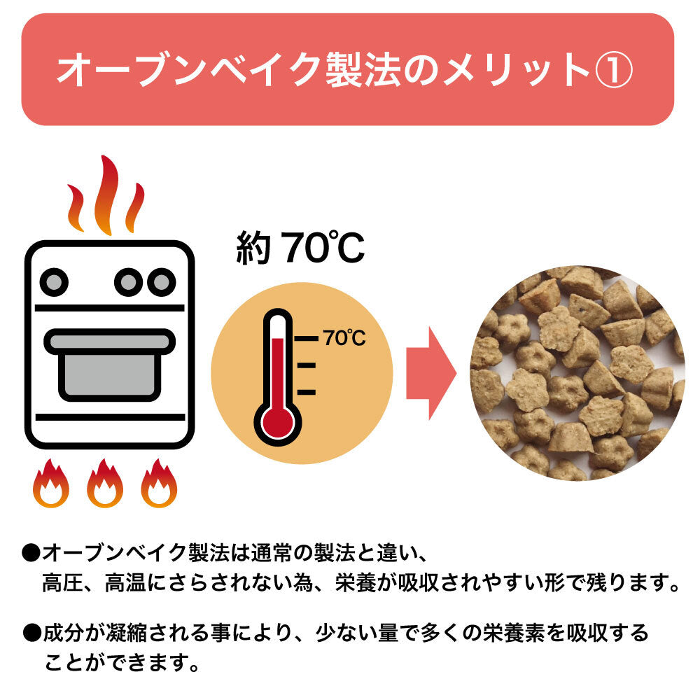 ロータス キャット グレインフリー ダックレシピ 400g 猫 フード キャットフード 猫用フード ドライ 穀物不使用 アレルギー ヒューマングレード 総合栄養食