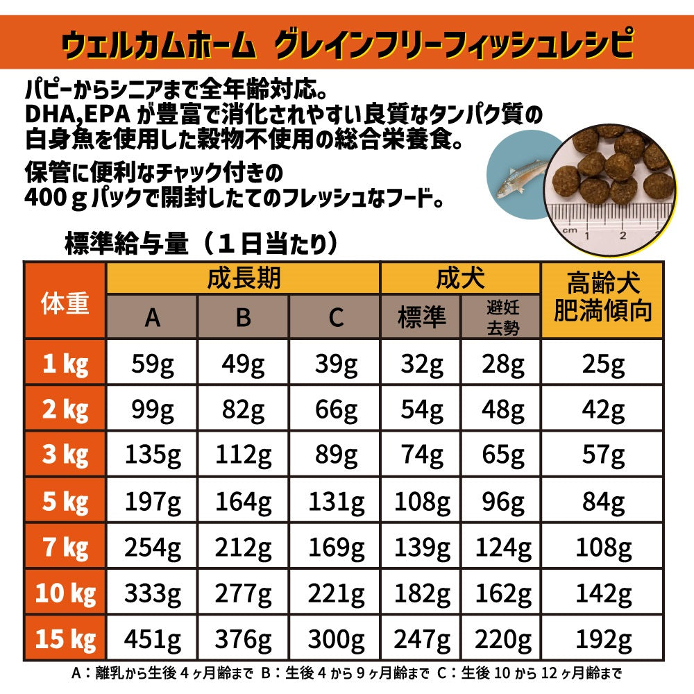 ウェルカムホーム グレインフリー フィッシュレシピ 800g(400g×2袋) 犬 犬用 フード ドッグフード ドライ 穀物不使用 小分け 全犬種 全年齢対応 総合栄養食