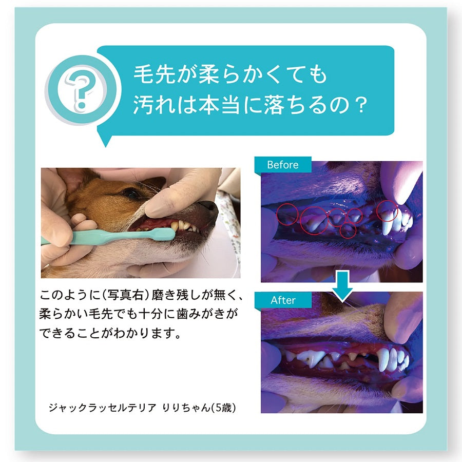 オーラバイオブラシ ラージ 犬 猫 歯ブラシ 柔らかい 犬用 猫用 中大型犬 デンタルケア 歯みがき ネイビー 日本製 バイロン OraBio