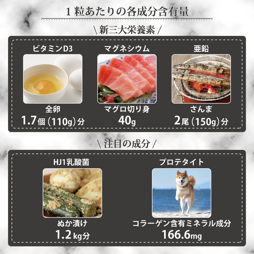 Premium 乳酸菌 エイチジン フレーム 犬猫用 90粒 Premiumエイチアンドジン JIN H&J ジン 死菌 HJ1 乳酸菌 骨 骨密度 コツ弾力 サプリメント