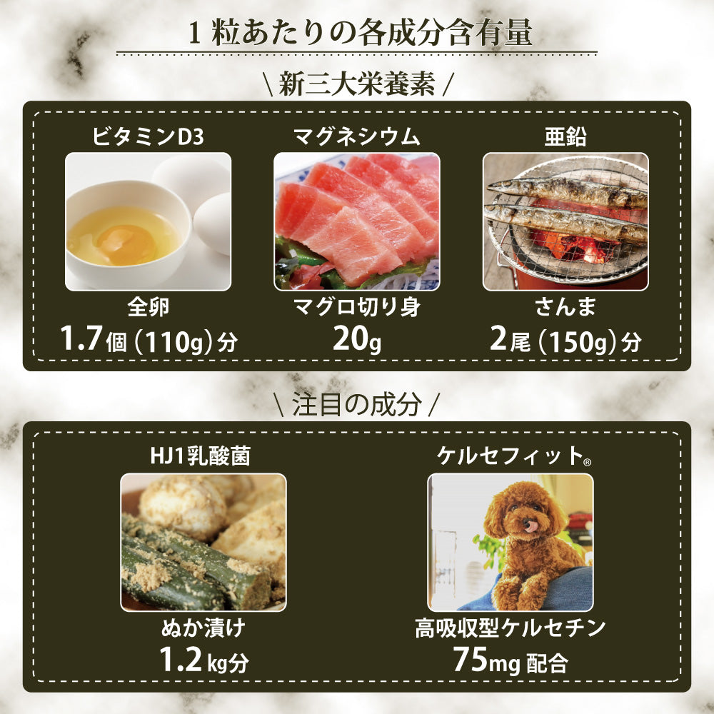 Premium 乳酸菌エイチジン バリア 犬猫用 90粒 JIN H&J ジン 死菌 HJ1 乳酸菌 ケルセチン サプリメント