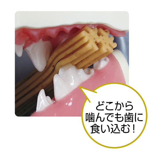 ペットキッス 食後の歯みがきガム プレミアム プチタイプ 50g 犬 おやつ ガム 歯みがき デンタルケア 歯垢除去 歯石予防 イヌ オヤツ ご褒美 ライオン PETKISS