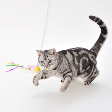 ペティオ ぷろぺらじゃらし ミツバチ 猫 じゃらし 猫用 おもちゃ プロペラ トイ ストレス発散 運動不足 ロングタイプ