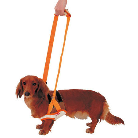 ペティオ zuttone 老犬介護用 歩行補助ハーネス 前足用 M 犬 ハーネス シニア用 犬用 介護用品 ベルト式 メッシュ 小型犬 Petio ずっとね