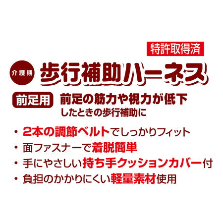 ペティオ zuttone 老犬介護用 歩行補助ハーネス 前足用 M 犬 ハーネス シニア用 犬用 介護用品 ベルト式 メッシュ 小型犬 Petio ずっとね