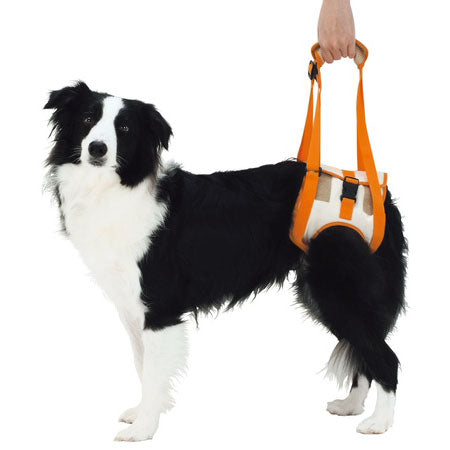 ペティオ zuttone 老犬介護用 歩行補助ハーネス 後足用 2L 犬 ハーネス シニア用 犬用 介護用品 ベルト式 メッシュ 中型犬 Petio ずっとね