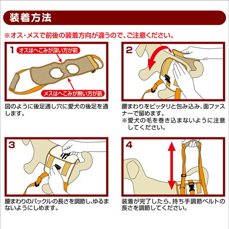 ペティオ zuttone 老犬介護用 歩行補助ハーネス 後足用 2L 犬 ハーネス シニア用 犬用 介護用品 ベルト式 メッシュ 中型犬 Petio ずっとね
