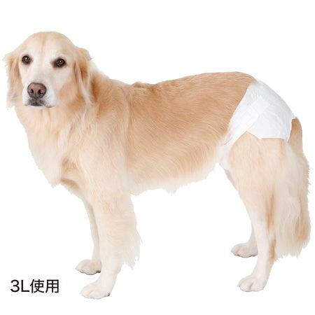 ペティオ zuttone 老犬介護用 紙おむつ L 16枚 犬 おむつ シニア用 犬用 介護用品 老犬 漏れ防止 中型犬 Petio ずっとね