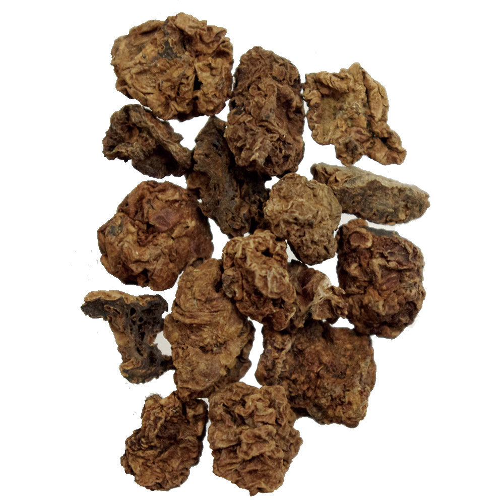 マルカン またたびの実 10g 猫 またたび 実 ネコ オモチャ マタタビ ストレス解消