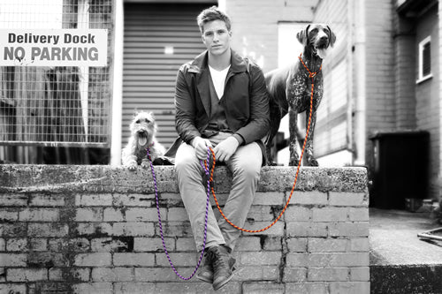 イージードッグ ルカ リード 8mm レッド 犬 首輪 一体型 犬用 チョークカラー しつけ 丈夫 中型犬 大型犬 散歩 お出かけ 係留 EZYDOG