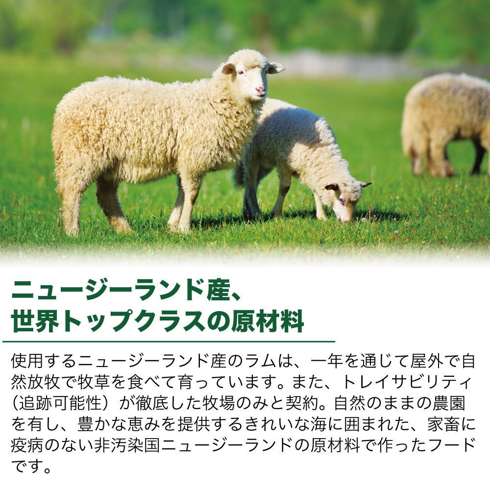 キアオラ ドッグフード ラム&レバー 2.5kg 犬 フード ドライ グレインフリー 全年齢対応 穀物不使用 アレルギー配慮 羊肉 オールステージ ポテト不使用 kiaora