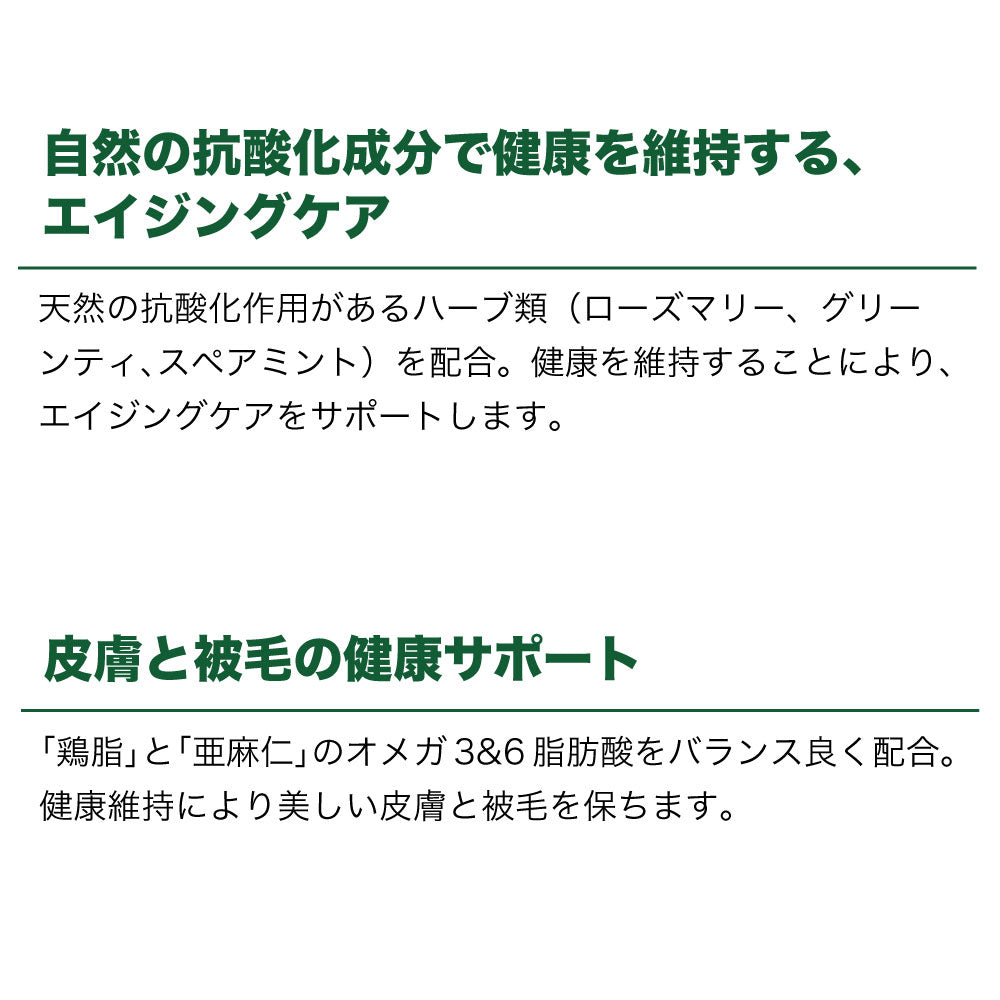 キアオラ ドッグフード ラム&レバー 2.5kg 犬 フード ドライ グレインフリー 全年齢対応 穀物不使用 アレルギー配慮 羊肉 オールステージ ポテト不使用 kiaora