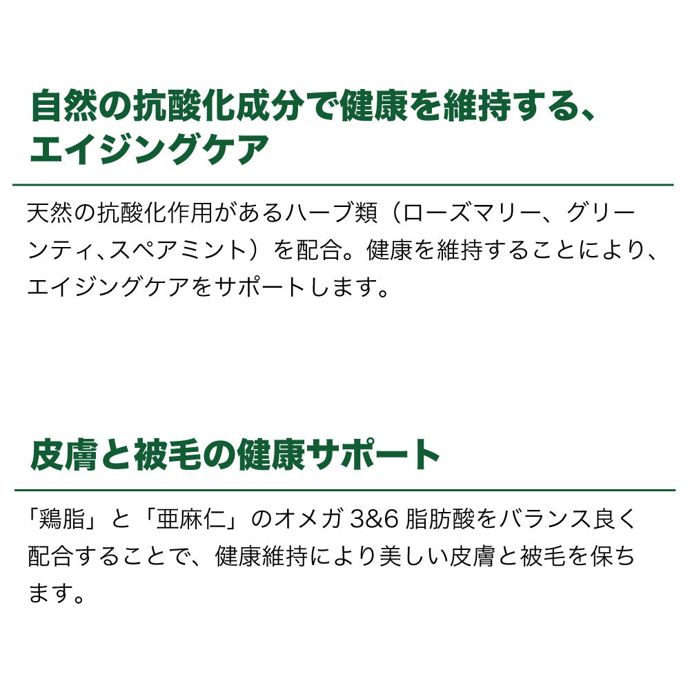 キアオラ ドッグフード グラスフェッドビーフ&レバー 800g 犬 フード ドライ グレインフリー 全年齢対応 穀物不使用 アレルギー配慮 牛肉 ポテト不使用 kiaora