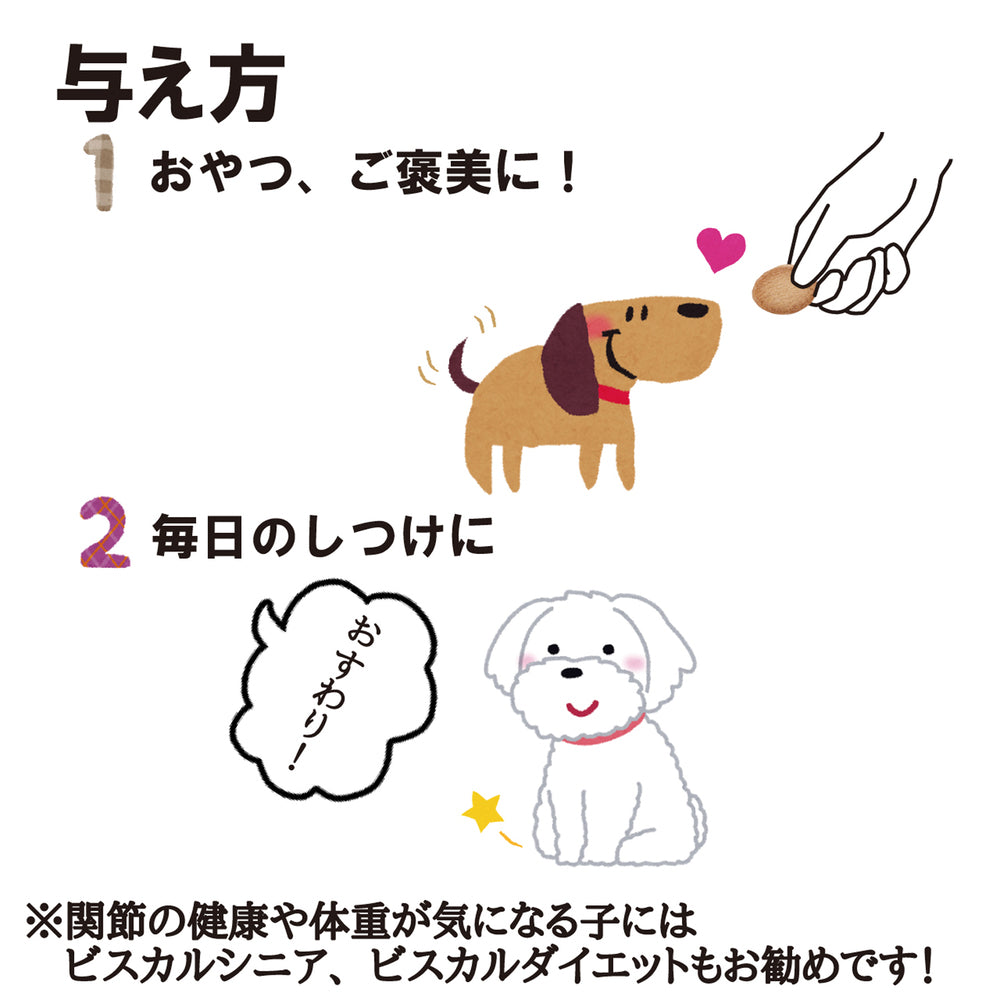 現代製薬 ビスカル 300g 犬 おやつ 犬用 スナック ビスケット ふん尿臭 軽減 腸内環境 オリゴ糖 カテキン 腸活 国産