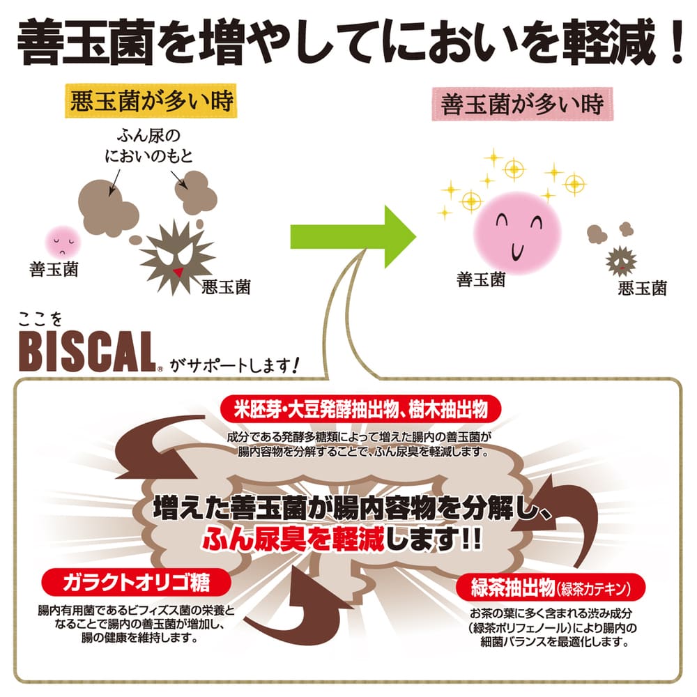 現代製薬 ビスカル 900g 犬 おやつ 犬用 スナック ビスケット ふん尿臭 軽減 腸内環境 オリゴ糖 カテキン 腸活 国産