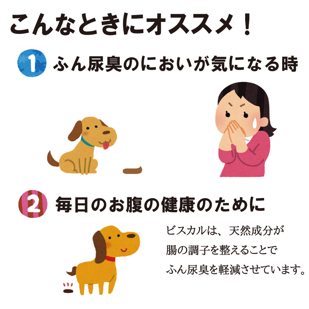 現代製薬 ビスカル 900g 犬 おやつ 犬用 スナック ビスケット ふん尿臭 軽減 腸内環境 オリゴ糖 カテキン 腸活 国産