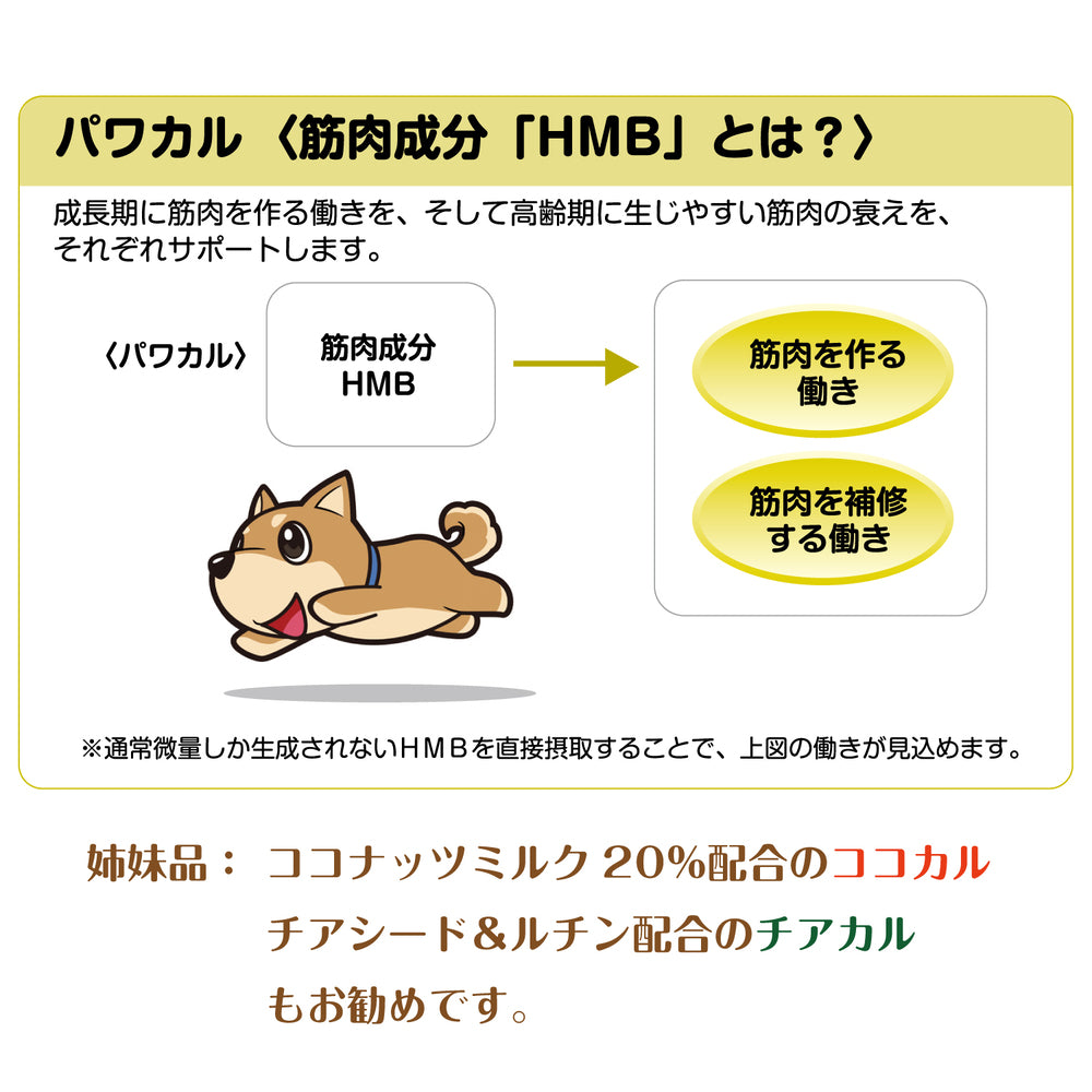 現代製薬 パワカル 110g 犬 おやつ 犬用 スナック ビスケット 栄養 HMV 筋肉成分 アミノ酸 ロイシン 国産