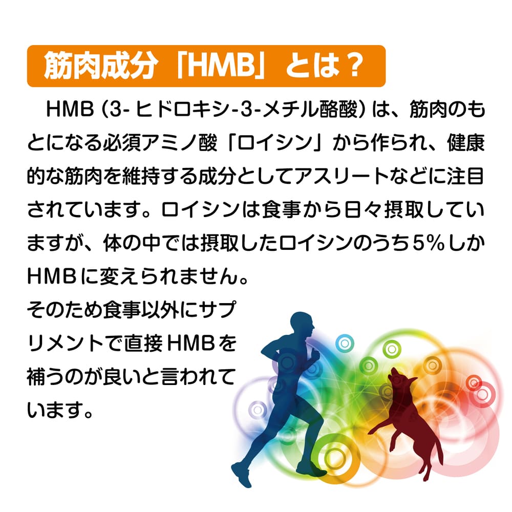 現代製薬 パワカル 110g 犬 おやつ 犬用 スナック ビスケット 栄養 HMV 筋肉成分 アミノ酸 ロイシン 国産