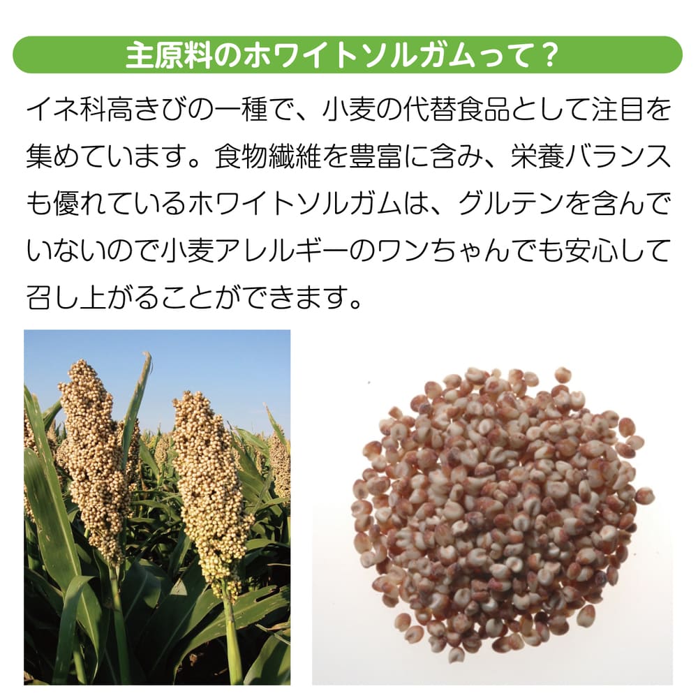 現代製薬 ソルビッツ 小麦を使っていないビスケット 160g 犬 おやつ 犬用 スナック ビスケット 健康維持 小麦不使用 卵不使用 牛乳不使用 国産