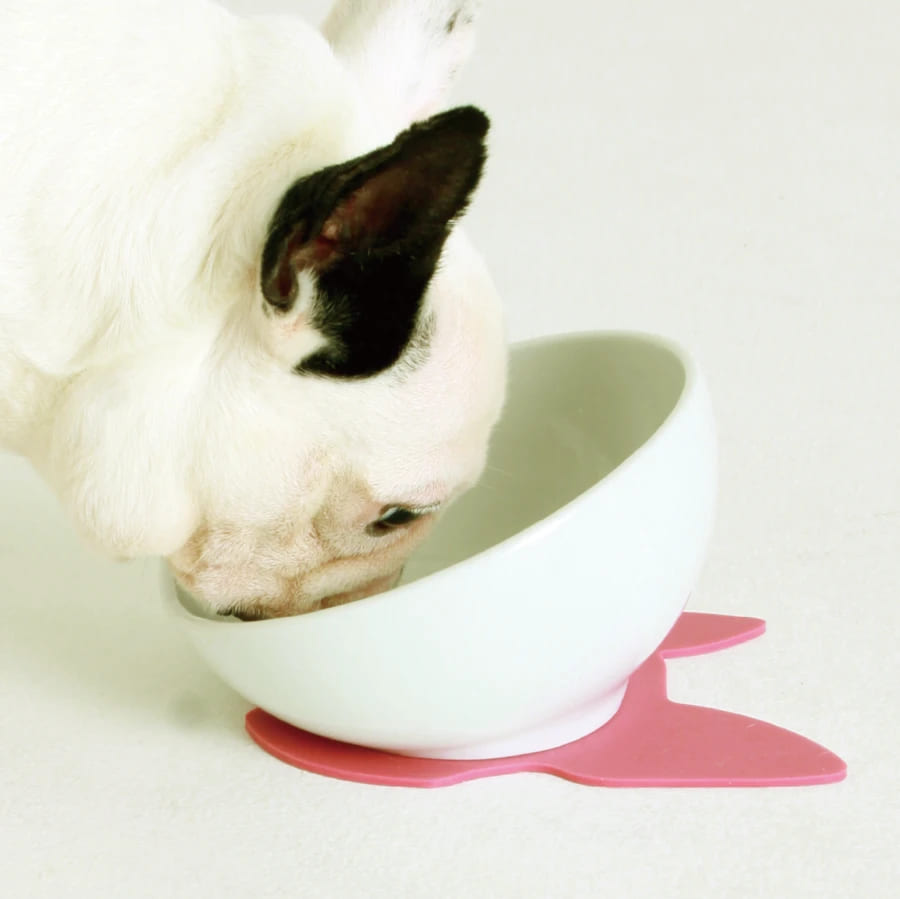 ハリオ BUHIプレ ブラック HARIO 犬 フレブル 食器 餌入れ フードボウル 陶器 えさ入れ 食べやすい こぼれにくい 斜め フレンチブルドッグ用 おしゃれ 日本製