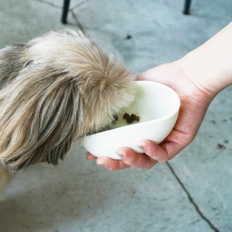 ハリオ チビプレ シリコーンボウル オフホワイト HARIO 犬 猫 食器 餌入れ フードボウル 犬用 猫用 えさ入れ 食べやすい 介護 シリコン 電子レンジ可 日本製