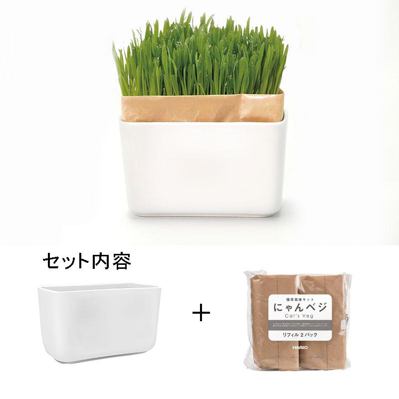 ハリオ 猫草栽培キット にゃんベジ セットN HARIO 猫草 種 栽培セット ネコ 草 鉢 ペットグラス 毛玉ケア ねこくさ 日本製 有田焼