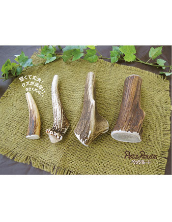 ペッツルート ベニソンアントラー LL 鹿角かじり玩具 犬 噛む 鹿 おもちゃ 中型犬 大型犬 犬用 おもちゃ 天然素材 無着色 無香料 歯