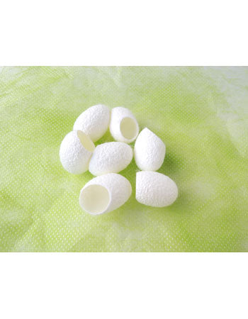 ペッツルート まゆ歯みがき スティック 猫 おもちゃ 猫じゃらし またたび 実 日本製 おすすめ 猫おもちゃ デンタルケア 人気 猫用 オモチャ ねこ 天然