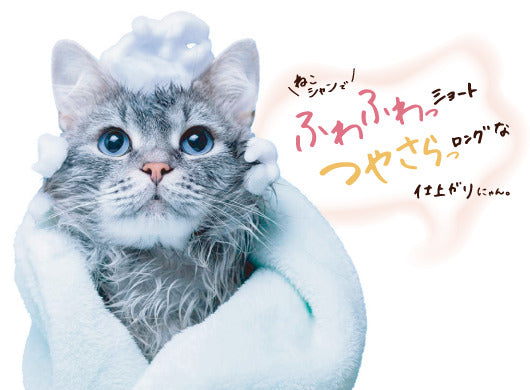 ゾイック N キャッツ トリートメントインシャンプー ショート 300ml 猫 シャンプー 猫用 トリートメント 中毛種 短毛種 ふわふわ 国産 ZOIC