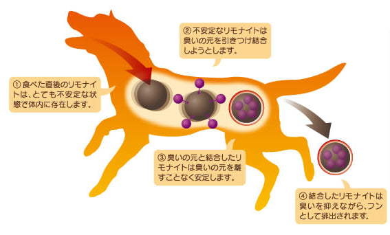 わんこのリモナイト ささみ 大粒 50g 犬 おやつ 犬用 スナック 鉄分 健康 おいしい 消臭 尿臭 フン臭 口臭 食糞対策 中型犬 大型犬 国産