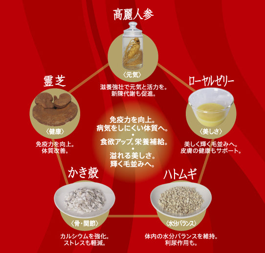鹿肉五膳 ふりかけ 200g 犬 ドッグフード トッピング 犬用 おやつ スナック 漢方 健康 免疫力アップ おいしい 安全 体に良い ヘルシー 国産