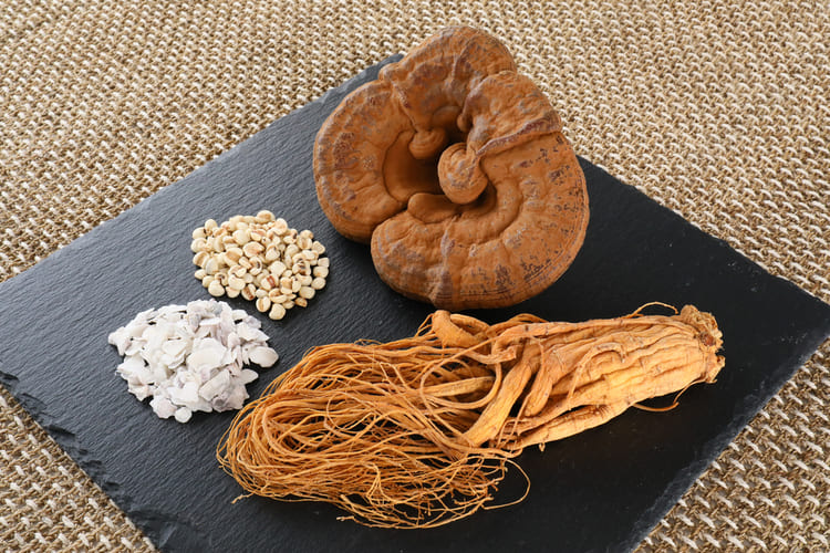 馬肉五膳 レギュラー 50g 犬 おやつ 犬用 馬肉 ジャーキー 健康 漢方 薬膳 関節のケア おいしい 安全 体に良い ヘルシー 国産