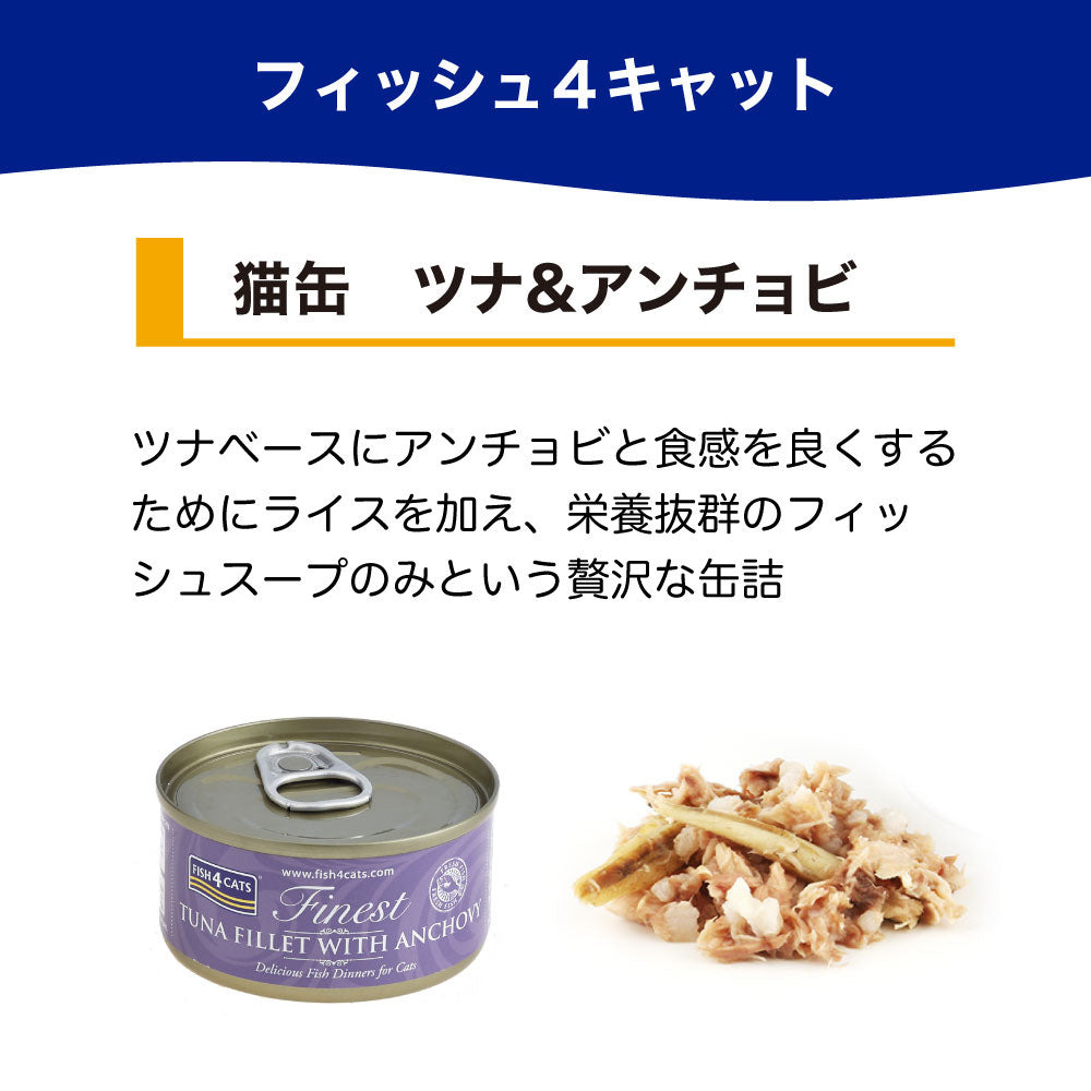 フィッシュ4 キャット 缶詰シリーズ ツナ&アンチョビ 70g 猫 フード 猫用フード キャットフード アレルギー 魚 ウェットフード 猫缶 無添加 無着色 一般食