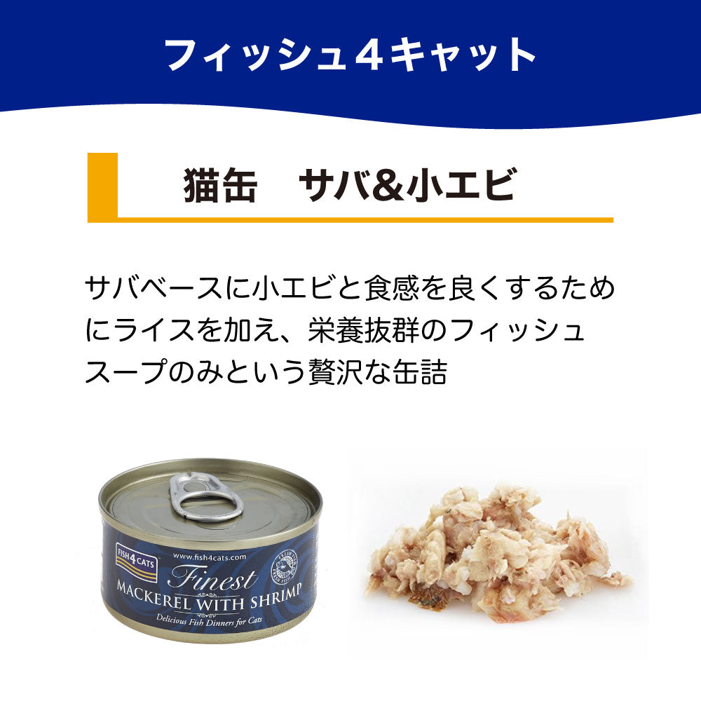 フィッシュ4 キャット 缶詰シリーズ サバ&小エビ 70g 猫 フード 猫用フード キャットフード アレルギー 魚 ウェットフード 猫缶 無添加 無着色 一般食