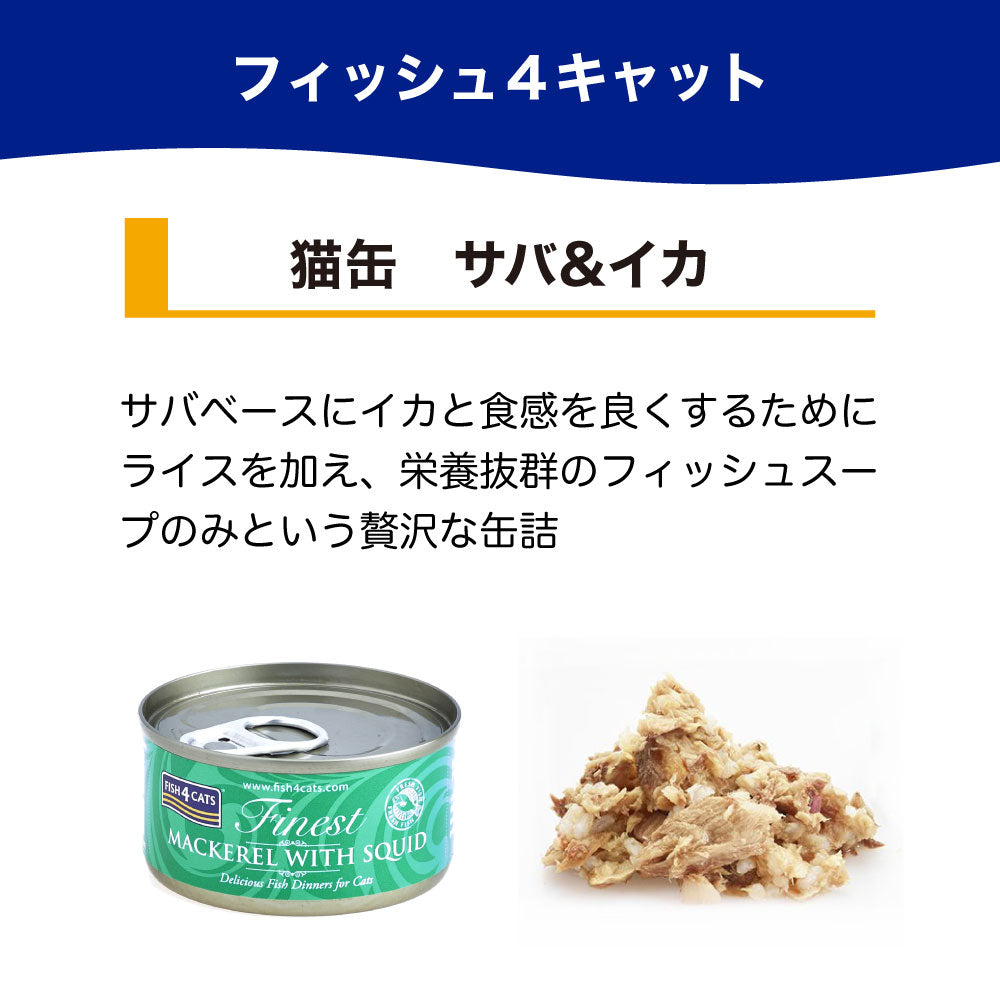 フィッシュ4 キャット 缶詰シリーズ サバ&イカ 70g 猫 フード 猫用フード キャットフード アレルギー 魚 ウェットフード 猫缶 無添加 無着色 一般食