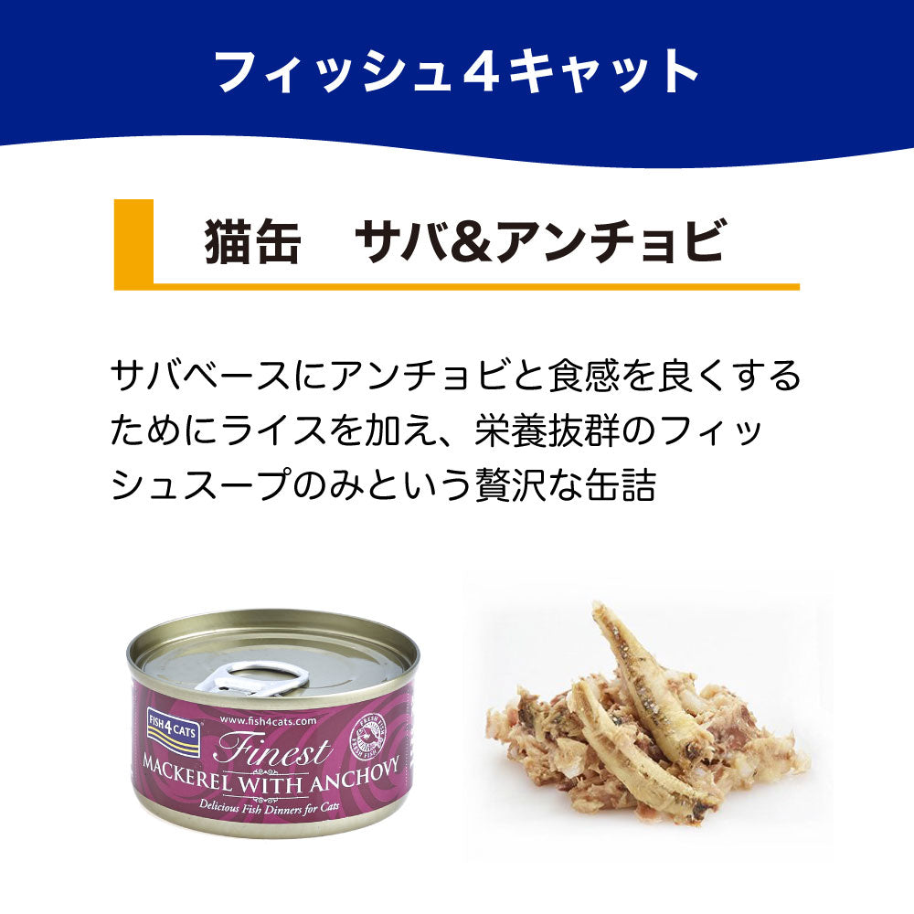フィッシュ4 キャット 缶詰シリーズ サバ&アンチョビ 70g 猫 フード 猫用フード キャットフード アレルギー 魚 ウェットフード 猫缶 無添加 無着色 一般食