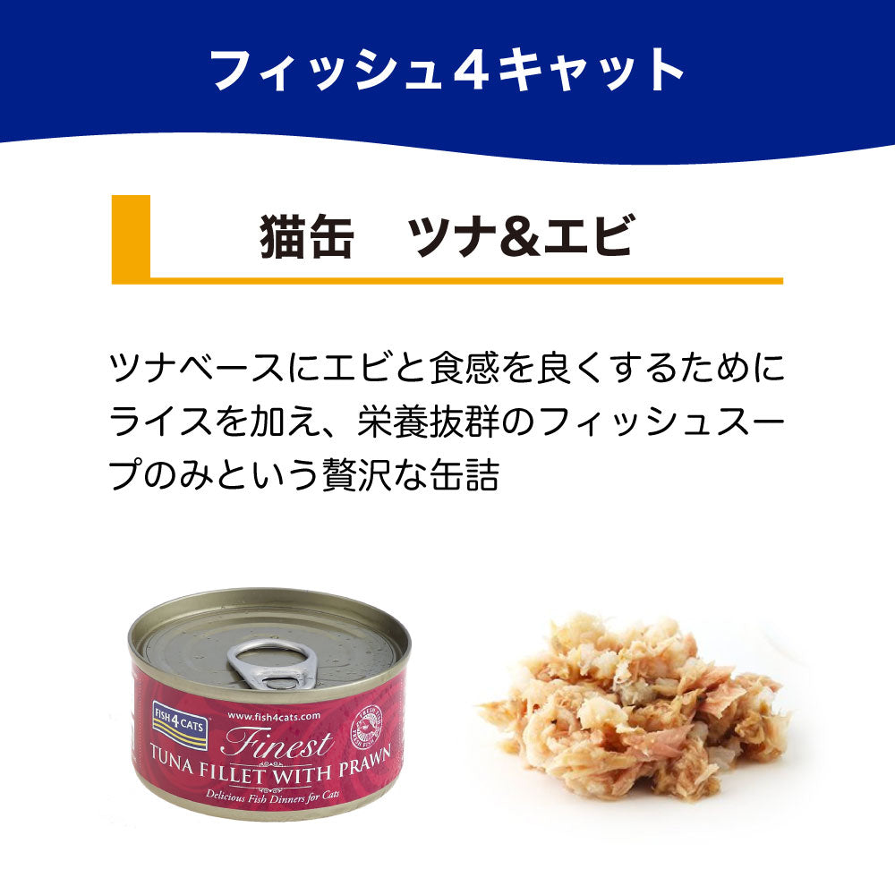 フィッシュ4 キャット 缶詰シリーズ ツナ&エビ 70g 猫 フード 猫用フード キャットフード アレルギー 魚 ウェットフード 猫缶 無添加 無着色 一般食