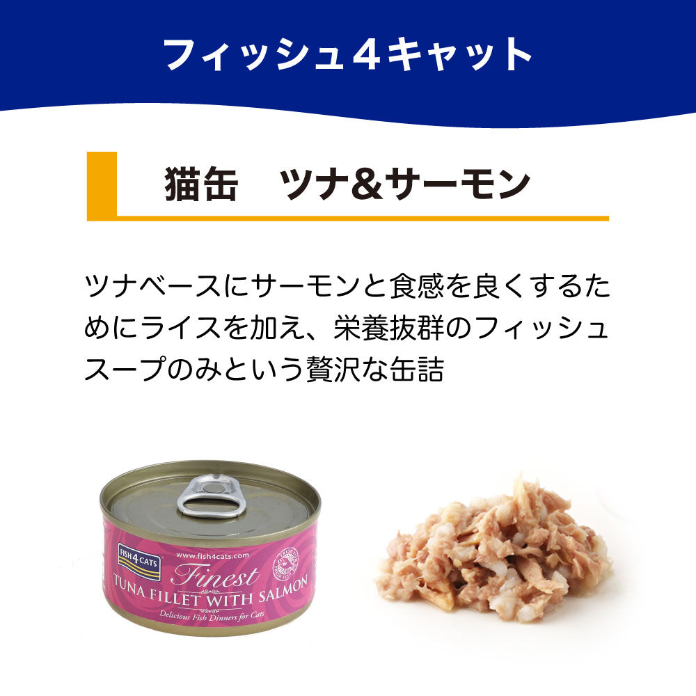 フィッシュ4 キャット 缶詰シリーズ ツナ&サーモン 70g 猫 フード 猫用フード キャットフード アレルギー 魚 ウェットフード 猫缶 無添加 無着色 一般食